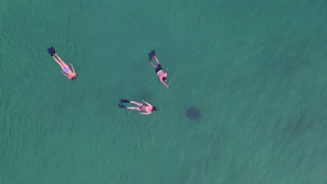 wide-shot-of-3-people-snorkeling-with-in-the-Indian-Ocean-off-Madagascar