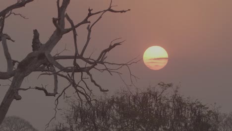 Sonnenuntergang-Während-Des-Pantanal-Lauffeuers-2020