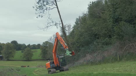 Digger-excavator-with-tree-shears-attachment-swinging-cut-tree