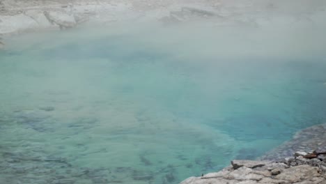 Dampfende,-Aquablaue,-Kristallklare-Vulkanquellen-Im-Norris-Geysir-Becken-Des-Yellowstone-Nationalparks