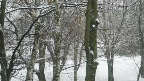Snowfall-winter-scene-with-cars-driving-in-background-zoom-shot