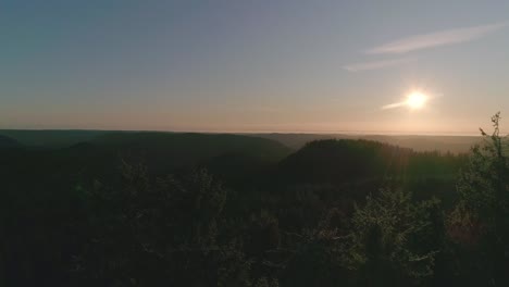 Schöner-Morgensonnenaufgang-über-Dem-Wald-Offenbart-Sich-Hinter-Bäumen---Luftaufnahmen