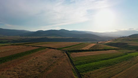 Grüne-Und-Gelbe-Patchwork-Felder-In-Hügeliger-Landschaft,-Drohnen-Überflugansicht