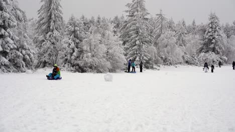 Father-and-son-sledging-in-winter-wonderland