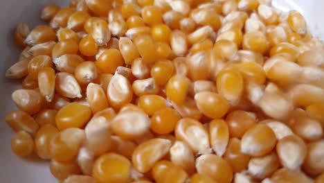 Corn-that-falls-into-a-white-bowl-until-it-is-full