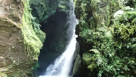 -Captivating-beauty-of-a-waterfall-in-the-jungle,-sunny-day