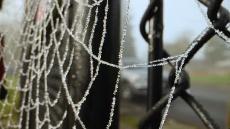 dew-covered-spiderweb-hangs-at-the-entrance-gate
