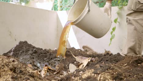 Pouring-water-fertilizer-into-pile-of-soil