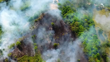 Aerial-view-of-Jungle-Deforestation,-wildfire-burning-and-smoking,-in-the-rainforest-of-Sumatra,-sunny-day,-in-Indonesia,-Asia---drone-shot