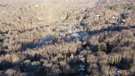 An-aerial-view-over-dry,-bare,-brown-trees-on-a-sunny-day