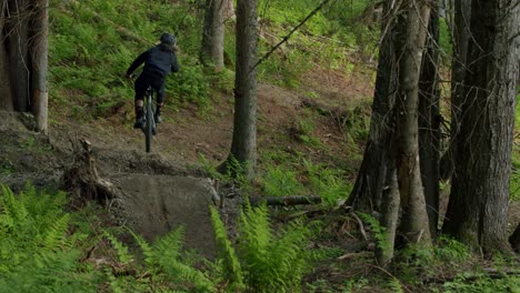 Mountain-biker-jumps-a-small-gap-in-a-luxuriant-forest