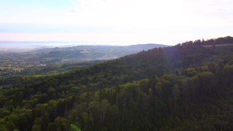 Aerial-drone-view-over-forest-and-hills,-sunny-evening,-in-Carpathian,-Ukraine