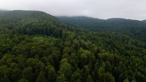 Aerial-view-over-mountains-and-forest,-thick-fog-in-the-background,-in-the-Carpathian-Mountains,-Ukraine---reverse,-drone-shot