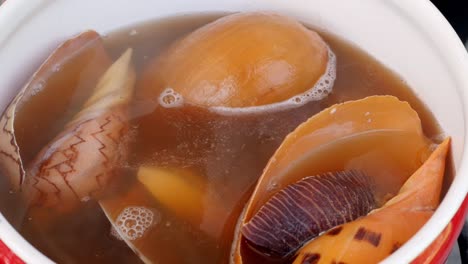 Woman-hand-opens-the-lid-at-the-red-pan-with-boiled-Giant-Sea-Snail