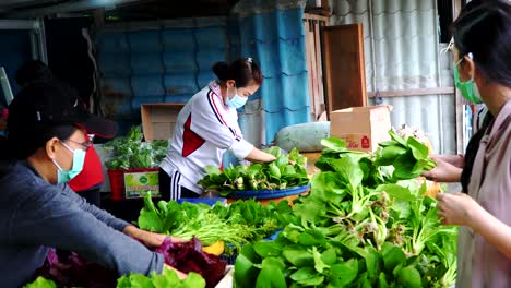 Mujer-Asiática-Comprando-Vegetales-Orgánicos-En-Tiempo-De-Pandemia-En-El-Mercado-Local