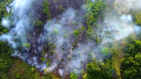 Aerial-view-of-bushfires-raging,-Conflagration-smoking-tropical-forests-of-Queensland,-sunny-day,-in-Australia---rising,-top-down,-drone-shot