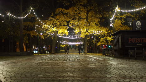 Couples-walking-on-paved-street-surrounded-by-trees-with-Christmas-lights-at-night