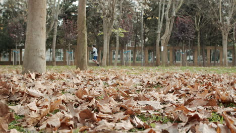 Determined-Sportsman-Running-Alone-on-Yellow-Fallen-Leaves-with-Covid-Mask-in-City-Park-on-Spring-Time-in-slowmo