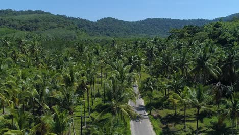Aerial-of-an-empty-road-surrounded-by-Palm-Trees-at-Koh-Kood-Island,-Thailand