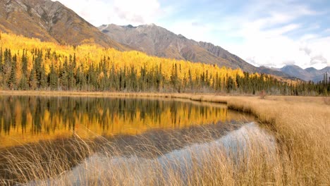 Erstaunliche-Alaskanische-Landschaft,-Gelber-Zedernwald,-Teich-Und-Grasland-In-Einem-Tal-Unter-Berghügeln