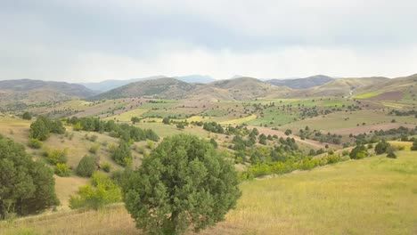 Una-Hermosa-Vista,-Campos-De-Trigo,-árboles-Silvestres,-áreas-Rurales,-Aire-Fresco-Y-Fresco,-Un-Día-Lleno-De-Paz