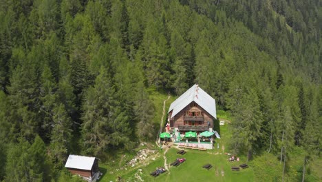 Luftaufnahme-Eines-Isolierten-Holzhauses-Mitten-Im-Kiefernwald-Auf-Dem-Berg
