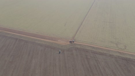 Erntemaschine,-Die-Auf-Einem-Riesigen-Sojaplantagenfeld-Arbeitet,-Luftaufnahme,-Die-Eine-Weite-Landschaft-Offenbart