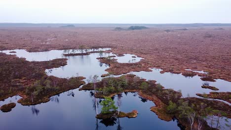 Aerial-birdseye-view-of-Dunika-peat-bog-with-small-ponds-in-overcast-autumn-day,-wide-high-altitude-drone-shot-moving-forward