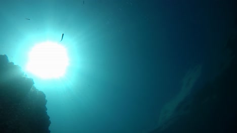Swimming-and-diving-with-snorkel-gear-shot-from-the-bottom-of-the-sea-showing-sun-shining-through-the-water-and-silhouette-of-diver-descending-while-small-fishes-swim-around