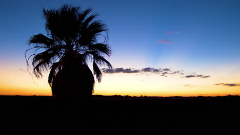 Ein-Wunderschöner-Sonnenuntergang-In-Südtexas-Mit-Tiefroten-Und-Orangefarbenen-Kronen-über-Dem-Horizont