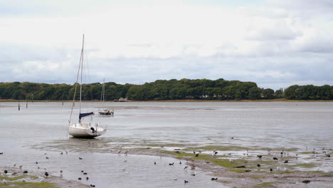 Low-tide-a-Chichester-Harbour
