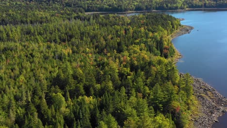 Luftaufnahmen-Im-Frühherbst-Eines-Abgelegenen-Sees-Im-Norden-Von-Maine,-Der-Eine-Bewaldete-Felsige-Küste-Umkreist