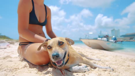 Young-woman-and-her-dog-sitting-on-the-beach,-Curacao