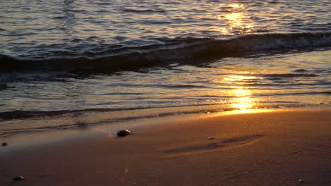Waves-on-beautiful-sandy-beach-in-sunset