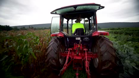 Farmer-driving-a-tractor-through-the-cornfield