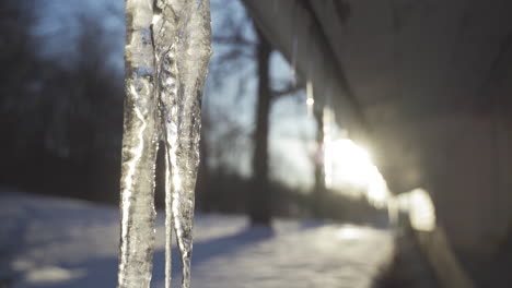 Snow-and-icicles-hanging-from-roof-at-sunset