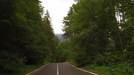 Conduciendo-A-Través-De-Un-Bosque-En-Un-Camino-Sinuoso-En-Un-Día-Soleado,-Montañas-Bucegi,-Rumania