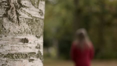 Silver-bark-on-birch-tree-while-woman-walks-in-distance
