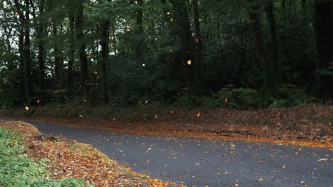 Herbstblätter-Fallen-In-Zeitlupe-Mit-Wald-Im-Hintergrund