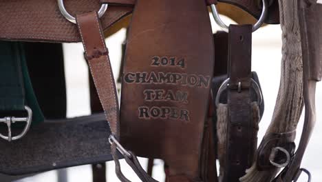 Champion-Roping-Leder