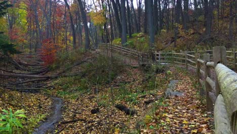 Wide-shot-of-ravine-with-fall-colors-and-trail-as-first-light-snowfall-of-the-season-occurs