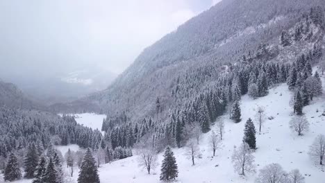 Luftaufnahme-über-Ein-Tal-Mit-Viel-Schnee,-Bäumen-Und-Wald-In-Der-Schweiz-Im-Winter