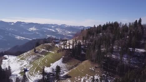 Drone-flies-around-a-hill-with-trees-and-snow