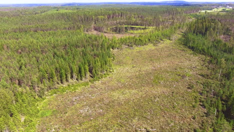 Aerial-vast-scenery-of-a-logging-area-forest-and-a-big-farm-in-the-countryside