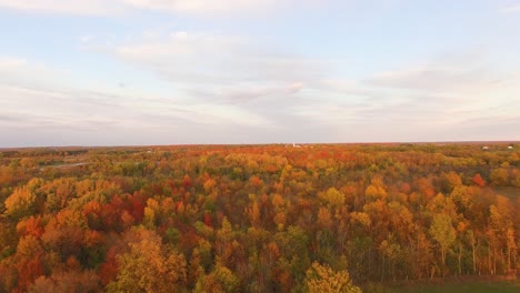 High-angle-aerial-view-of-flat-farmland-and-hardwood-forest-full-of-Autumn-colors