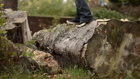 Outdoors-Walking-on-a-countryside-log-trying-to-balance