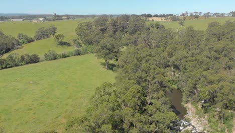 Aerial-shot-of-a-river-flowing-through-the-green-lush-country-side-of-Victoria-Australia