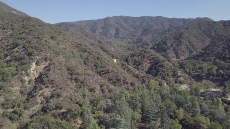 Flying-over-Los-Angeles-mountain-trees-camera-panning-down