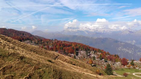 Flug-über-Die-Weide-Mit-Blick-Auf-Die-Julischen-Alpen