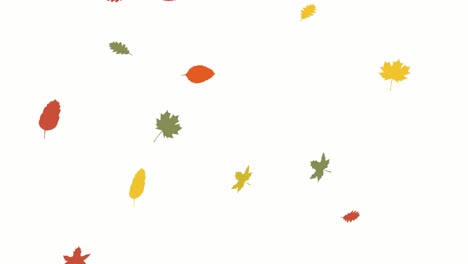 Schöne-Herbstblätter-Fallender-Animation-Im-Flachen-Stil-Mit-Weißem-Hintergrund